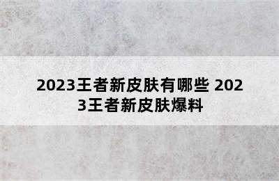 2023王者新皮肤有哪些 2023王者新皮肤爆料